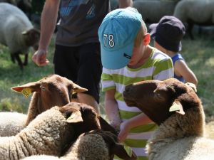 atelier fermier enfant