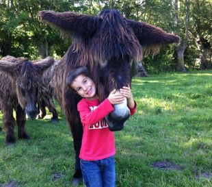 anniversaire ferme ane