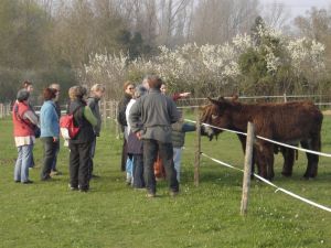 visite ferme et dégustation marais poitevin