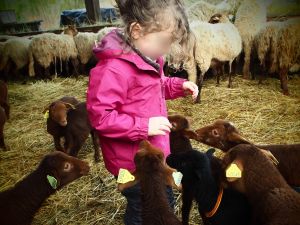 visite de la ferme pour les enfants