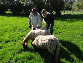 séjour thérapeutique mediation animale