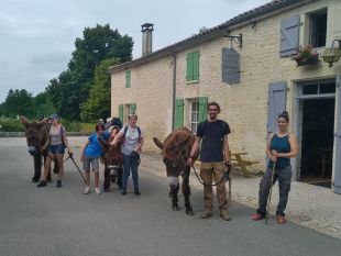 randonnée en âne dans le marais poitevin