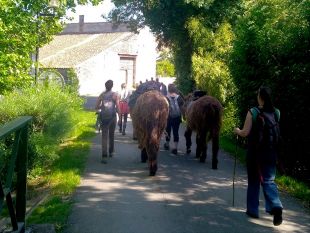 slow vacances et randonnées en ânes