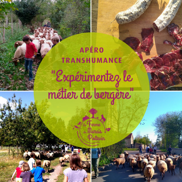 Apéro Transhumance à La Ferme du Marais Poitevin