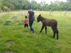 IMG 20240727 WA0004 1