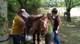 s&eacute;jour th&eacute;rapeuthique dans le Marais Poitevin
