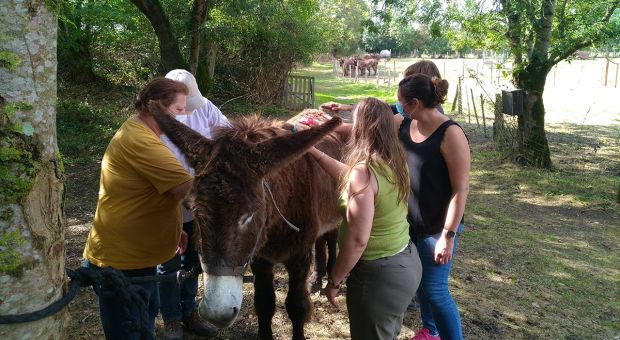 séjour thérapeuthique dans le Marais Poitevin