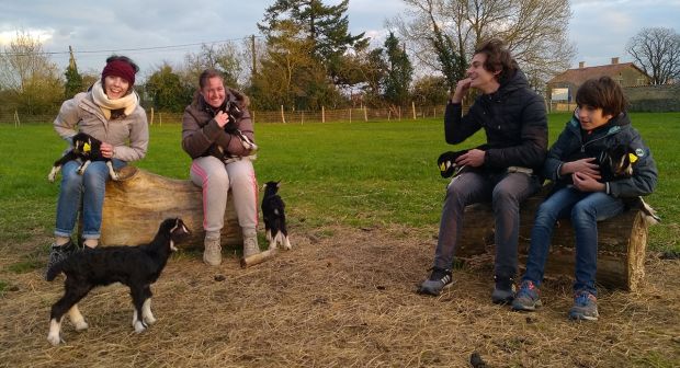 séjour hiver avec des animaux dans le marais poitevin