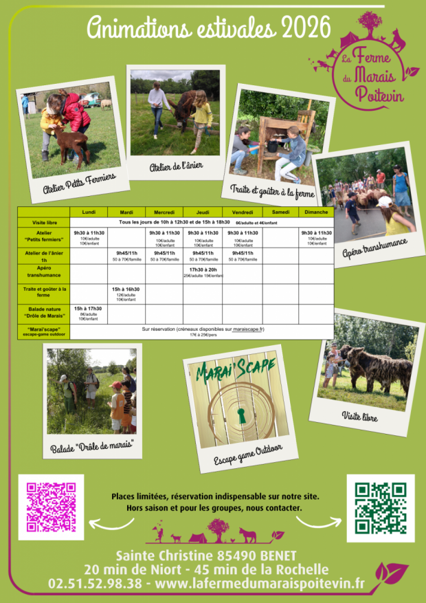 Programme animations estivales 2026 LFMP(1)