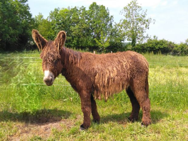 LousticduMarais mai2025.8 (1)