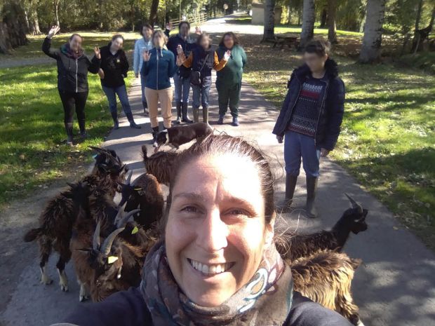 transhumance m&eacute;diation animale