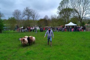 Porte ouvertes Demonstration de chien de troupeau
