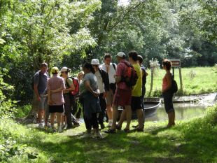rando marais poitevin