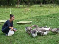 ferme elevage conservatoire