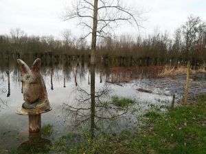 La crue 2020 à la Ferme du Marais Poitevin