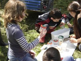 éducation environnement pour école