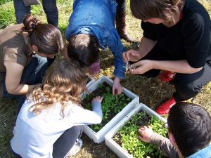 atelier jardin et jeu sensoriel