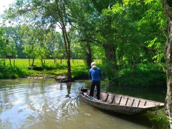 balades à velo dans le marais poitevin