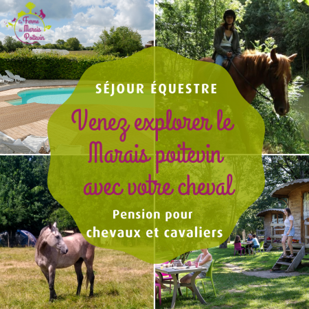 Séjour équestre à la Ferme du Marais Poitevin