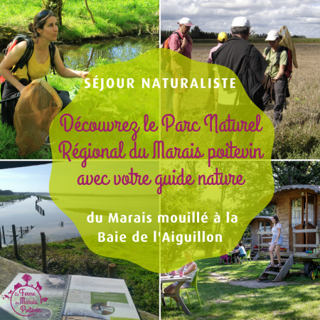 Séjour naturaliste à la Ferme du Marais Poitevin