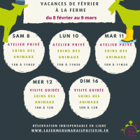 Programme des activités, vacances de février