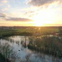 Balade nature Hivernale