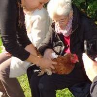 Médiation animale à la Ferme du Marais poitevin