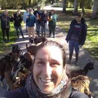 Médiation animale à la Ferme du Marais poitevin