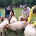 Séjour Thérapeutique à la ferme