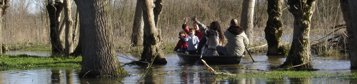 Balade en barque dans le marais Poitevin